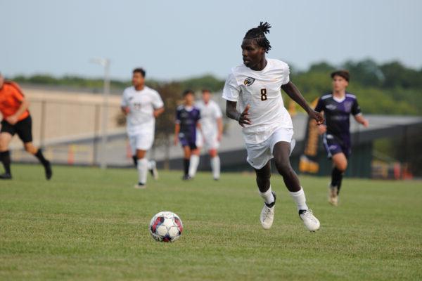 a person playing soccer on a field